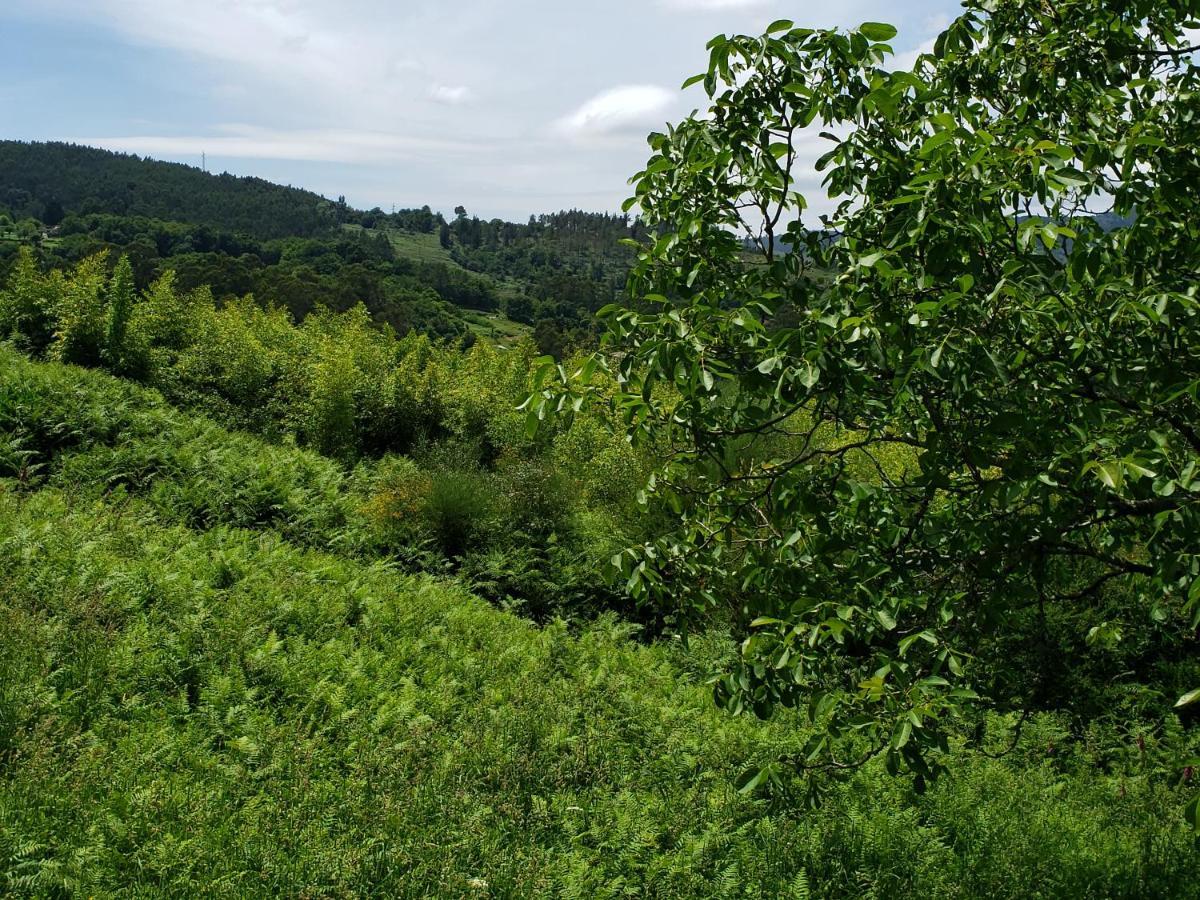 Casa Rural Do Fontan Guest House ปอนเตเบดรา ภายนอก รูปภาพ