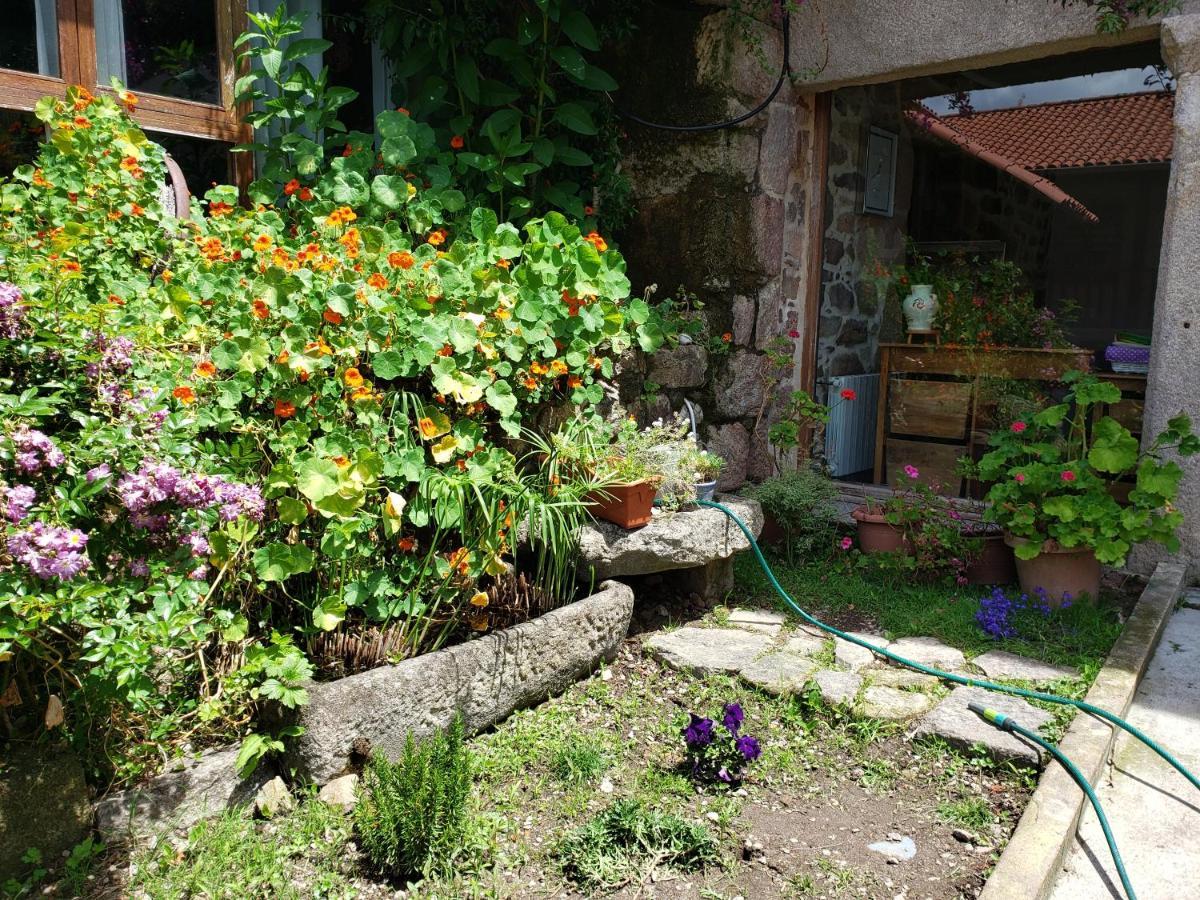 Casa Rural Do Fontan Guest House ปอนเตเบดรา ภายนอก รูปภาพ